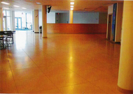 Alocon Concrete Finished Floor